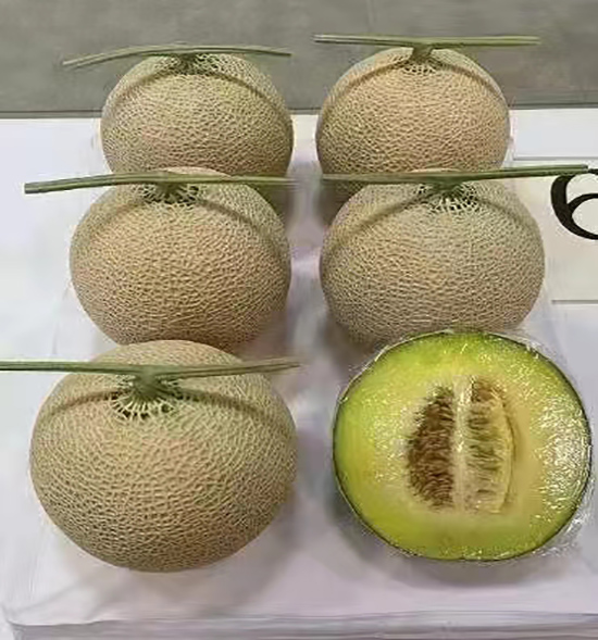 用户反馈