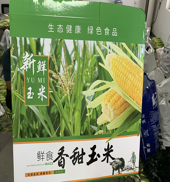 鲜食香甜玉米
