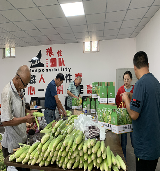 香甜玉米打包装箱