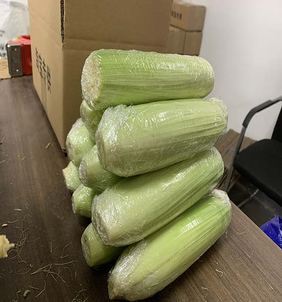 鲜食香甜玉米