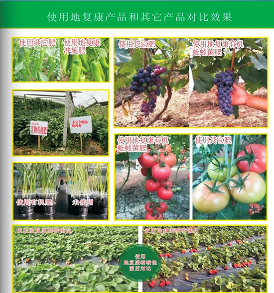 用户反馈