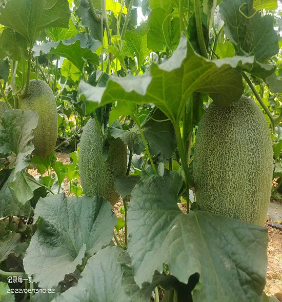 用户反馈