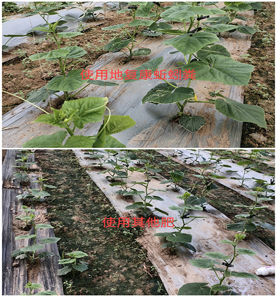 用户反馈